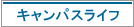 LpXCt