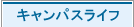 LpXCt